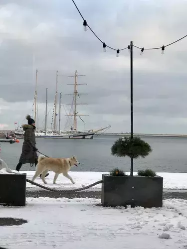 out-of-season. plik: tlusta-mewa-apartament-gdynia-out-of-season-poza-sezonem - 45.webp
